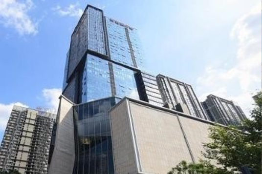 大通信宏医药集团